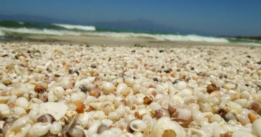 Το διαμάντι του νότου. Το νησάκι με το κεδρόδασος, τα αμέτρητα κοχύλια και τις απέραντες αμμουδιές.