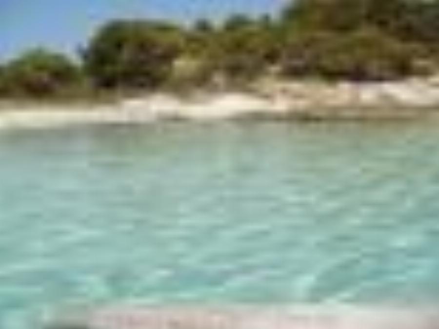 Διάπορος: Το άγνωστο εξωτικό νησάκι στη Χαλκιδική που έχει ζεστά νερά όλο τον χρόνο και καθόλου κύμα