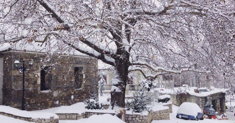 Η άγνωστη «κούκλα» του Παρνασσού :Το ομορφότερο χωριό κοντά στην Αθήνα γεμάτο έλατα και καταρράκτες παραμένει ένα μεγάλο μυστικό