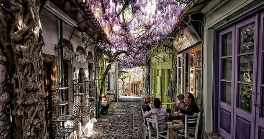 Μόλυβος: Το χωριό στην Λέσβο με τα ωραιότερα καλντερίμια της χώρας