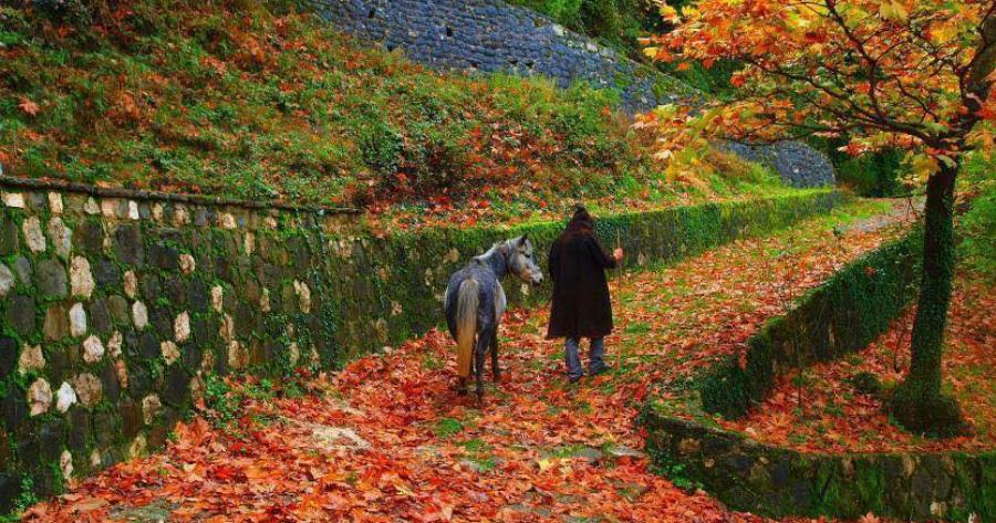 Μέσα στην καρδιά των Τζουμέρκων βρίσκεται ένα άγνωστο κουκλίστικο χωριουδάκι πνιγμένο στα έλατα, τα πεύκα και τις κουμαριές