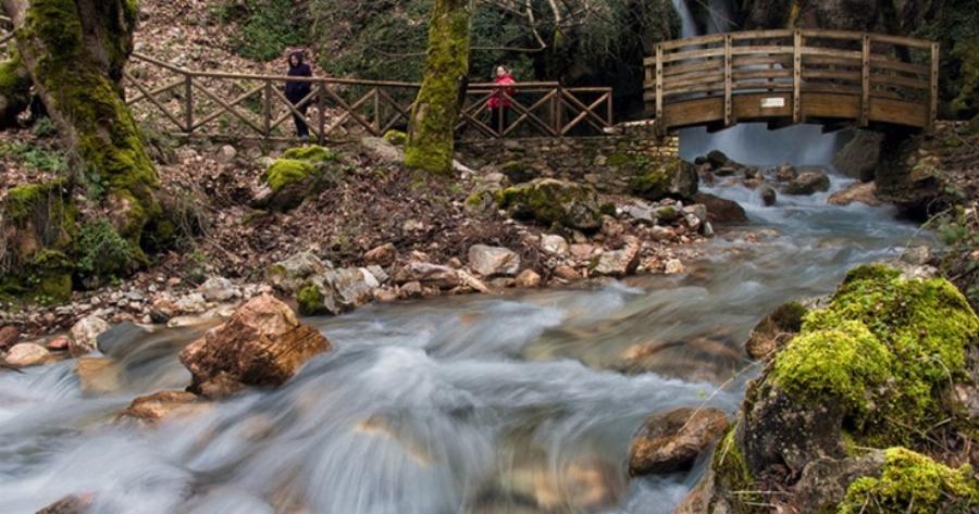 Το Άγνωστο Ομορφότερο Χωριό των Καλαβρύτων “Πνιγμένο” Μέσα στα Έλατα