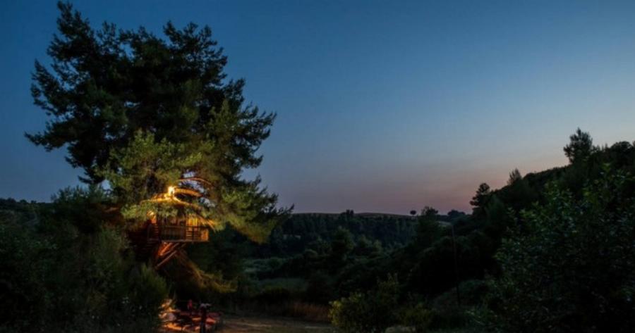 Το ζευγάρι που έφτιαξε στην Αμαλιάδα το ωραιότερο δεντρόσπιτο στην Ελλάδα