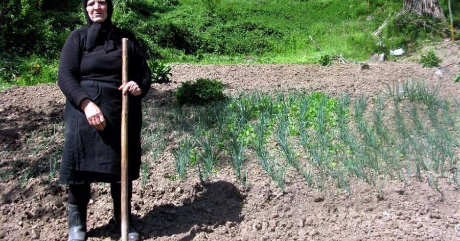 Αφιερωμένο στη γυναίκα Αγρότισσα που μάτωνε τα χέρια της να κρατήσει ζωντανή την φαμίλια της!