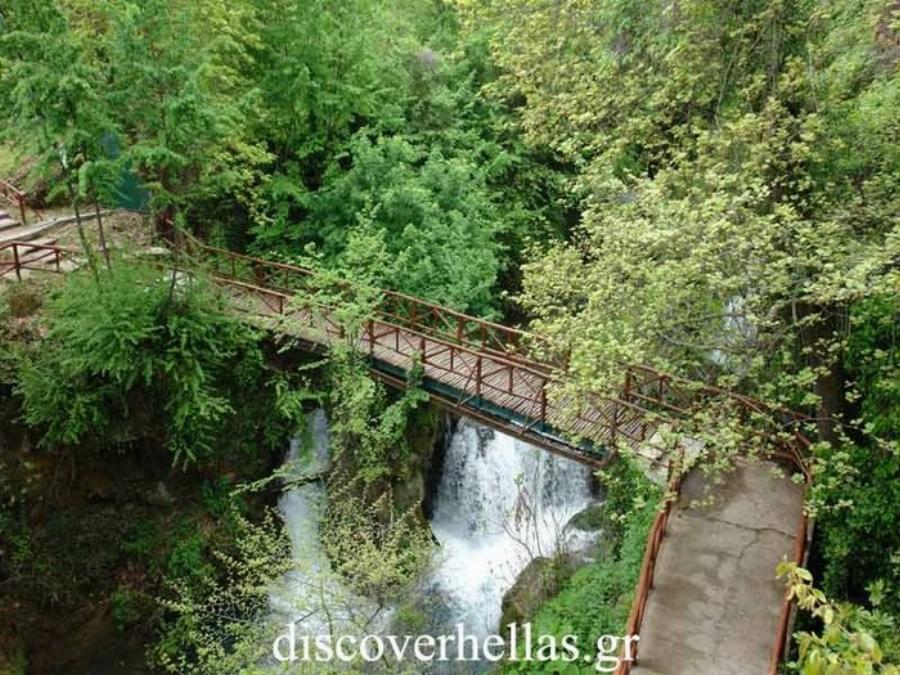 Στην Ελλάδα το παραδεισένιο άλσος με τα υπεραιωνόβια πλατάνια που κέρδισε το πρώτο πανευρωπαϊκό βραβείο