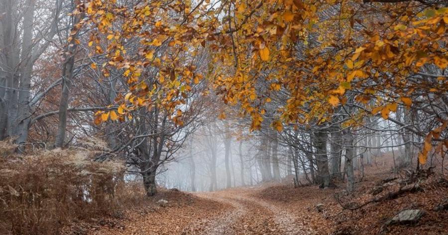 Πήλιο.. Η συγνώμη του Θεού στον άνθρωπο για τον Παράδεισο που του πήρε