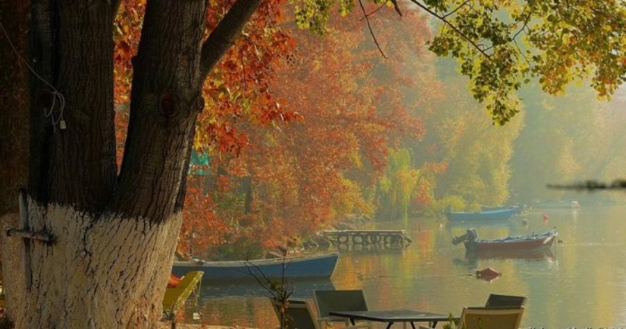 Καστοριά: Ένας χρυσοκίτρινος πίνακας ζωγραφικής