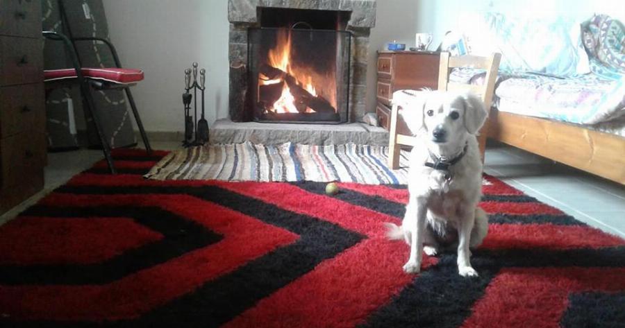 Ζωή Στο Χωριό ,παρέα με τη φωτιά στο τζάκι την ζεστασιά της φλοκάτης και την παρέα της Ηρας!