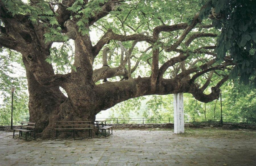 Η Προσφορά για τον πιο HOT Χειμερινό Προορισμό για την 28η Οκτωβρίου που Έχει Ξετρελάνει όλους τους Έλληνες!