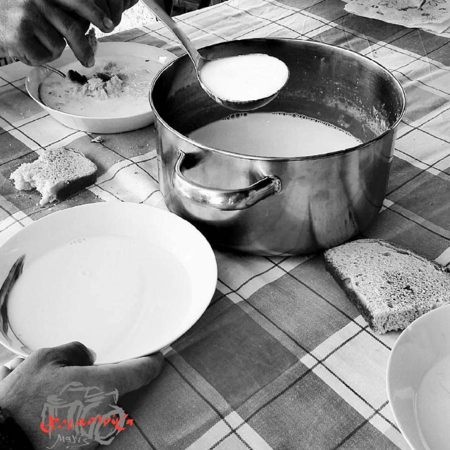 Ζεστό Πρόβειο Γάλα Τριψάνα, το Καλύτερο Δυναμωτικό για τον Κρύο Χειμώνα!