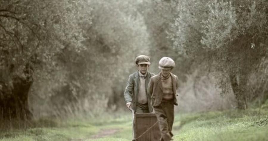 Το μάζεμα της ελιάς. Ένα εκπληκτικό φιλμ για μια ελληνική παράδοση αιώνων