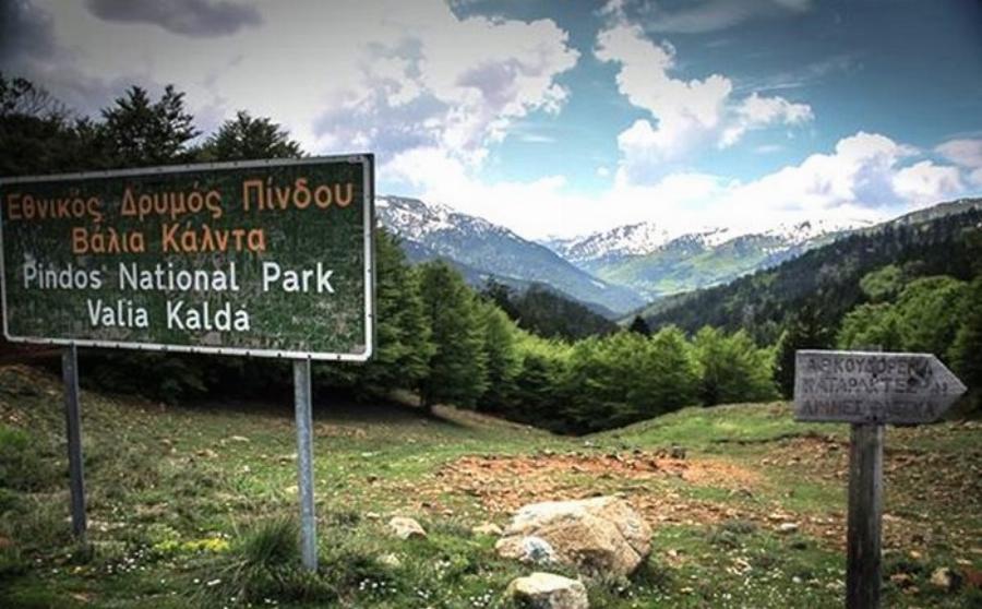 Μοναδική Βάλια Κάλντα: Ελληνική Άγρια Σπάνια Ομορφιά στο Σπίτι της Καφέ Αρκούδας