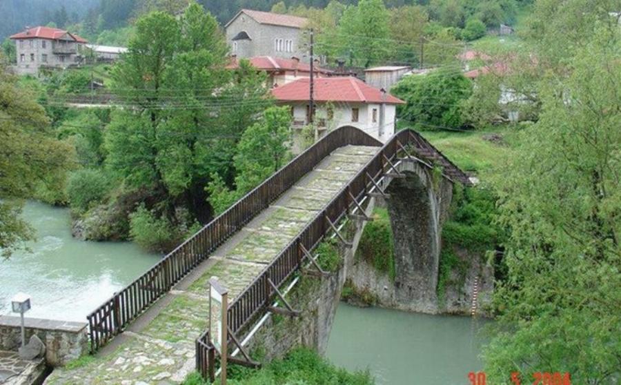 Μοναδική Βάλια Κάλντα: Ελληνική Άγρια Σπάνια Ομορφιά στο Σπίτι της Καφέ Αρκούδας