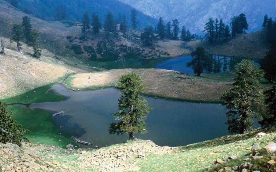 Μοναδική Βάλια Κάλντα: Ελληνική Άγρια Σπάνια Ομορφιά στο Σπίτι της Καφέ Αρκούδας