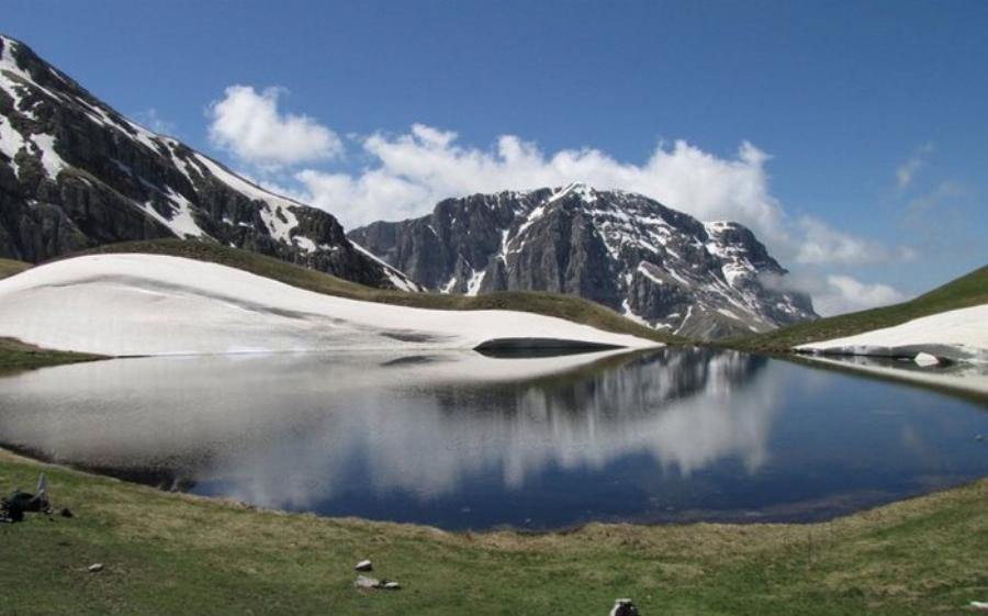 Μοναδική Βάλια Κάλντα: Ελληνική Άγρια Σπάνια Ομορφιά στο Σπίτι της Καφέ Αρκούδας