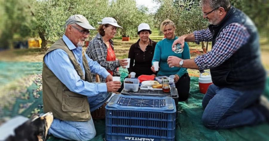 Κολατσιό ανάμεσα στο μάζεμα της ελιάς -«Τύφλα να ’χουν τα γκουρμέ»