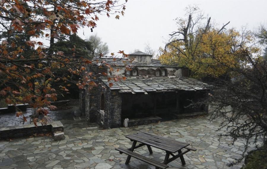 Ομιχλώδες τοπίο στην Πάρνηθα: Τα ελάφια «πόζαραν» στον φωτογραφικό φακό