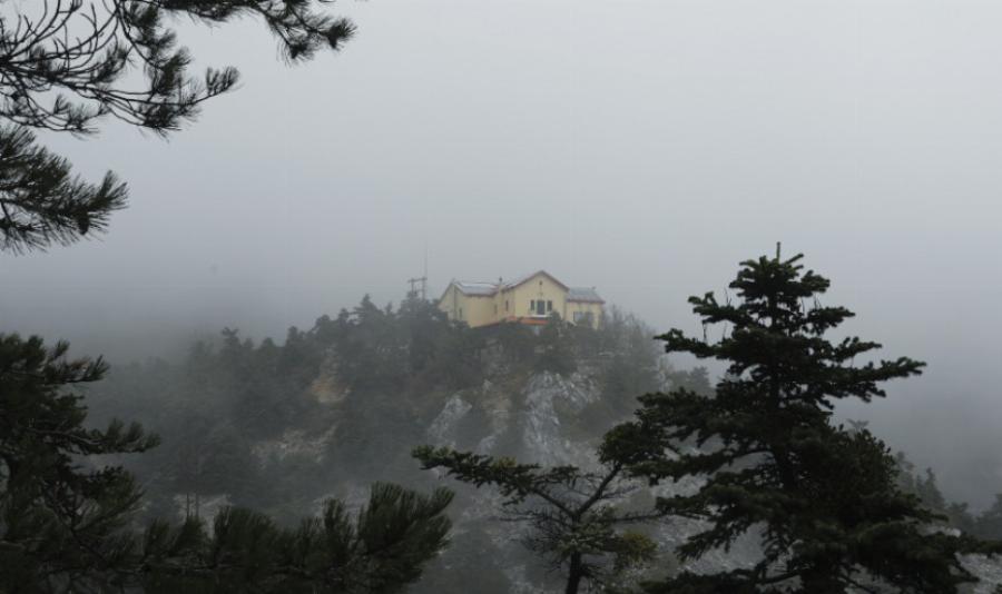 Ομιχλώδες τοπίο στην Πάρνηθα: Τα ελάφια «πόζαραν» στον φωτογραφικό φακό