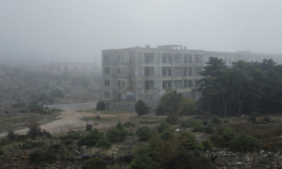 Ομιχλώδες τοπίο στην Πάρνηθα: Τα ελάφια «πόζαραν» στον φωτογραφικό φακό