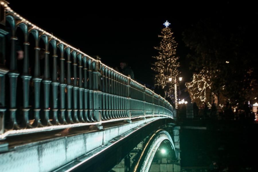 Τρίκαλα: Φωταγωγήθηκε το ψηλότερο φυσικό χριστουγεννιάτικο δέντρο της Ελλάδας