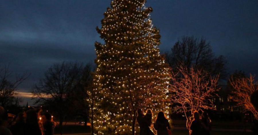 Η Χαλκιδική ανάβει το πρώτο Χριστουγεννιάτικο δέντρο της Ελλάδας για το 2019