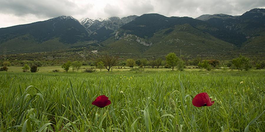 Υπέροχες Μονοήμερες Εκδρομές μια Ανάσα από την Αθήνα για να Πιάσετε το Φθινόπωρο.