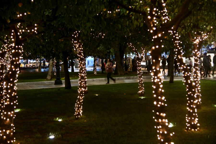 Φωταγωγήθηκε το χριστουγεννιάτικο δέντρο στην πλατεία Συντάγματος. Υπέροχες Εικόνες και Στιγμές!