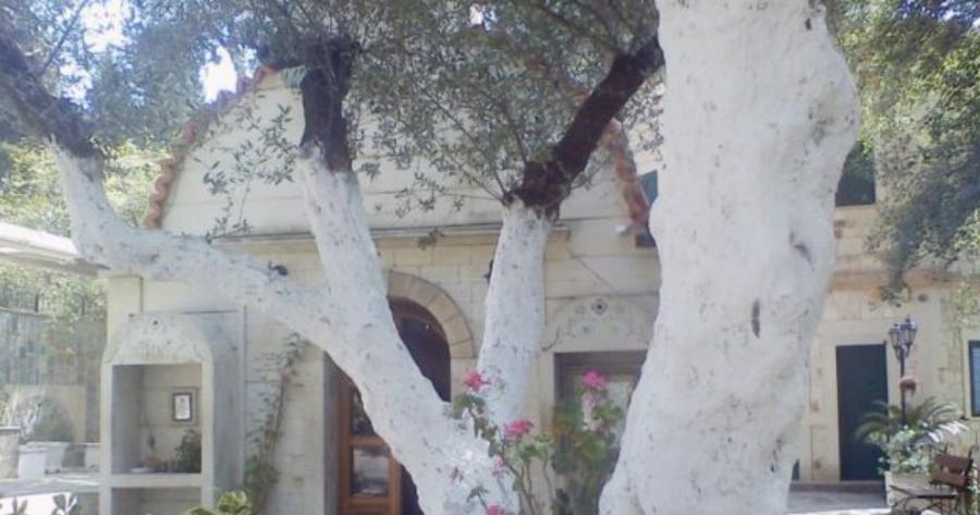 Άγιος Φανούριος: Άξιο Θαυμασμού Το Εκκλησάκι των Θαυμάτων στις Βρύσες Κρήτης