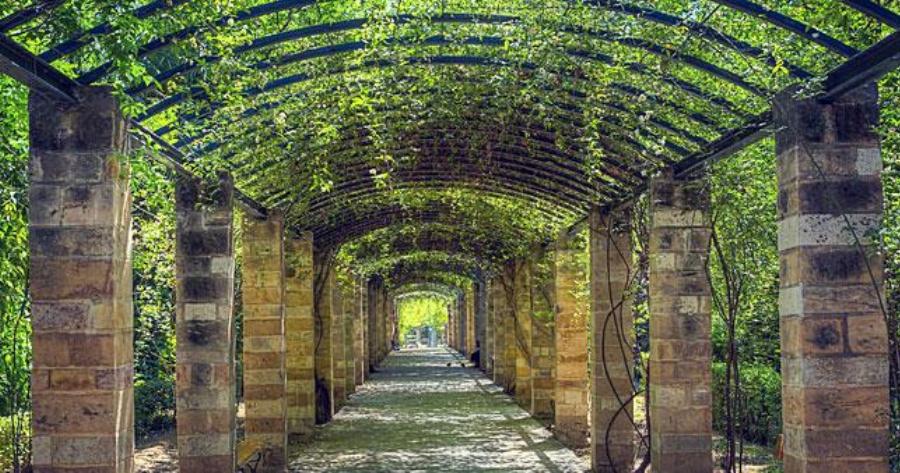 6 μέρη μέσα στην Αθήνα για μοναχικούς περιπάτους