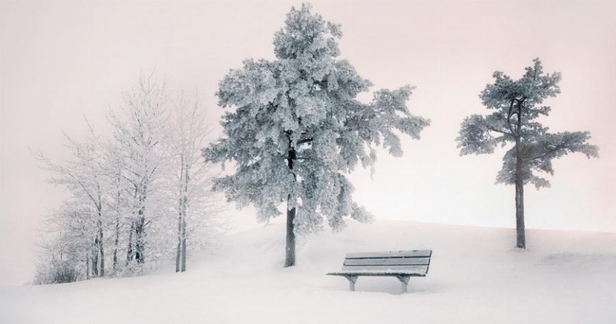 Φωτογραφίζοντας το χιονισμένο τοπίο της Φινλανδίας