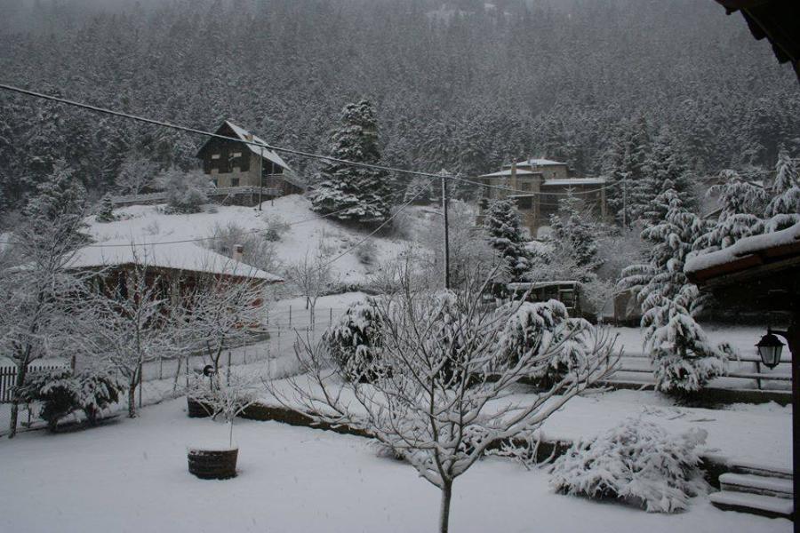 Πολύ χιόνι έπεσε στο Περτούλι και το σκηνικό είναι παραμυθένιο