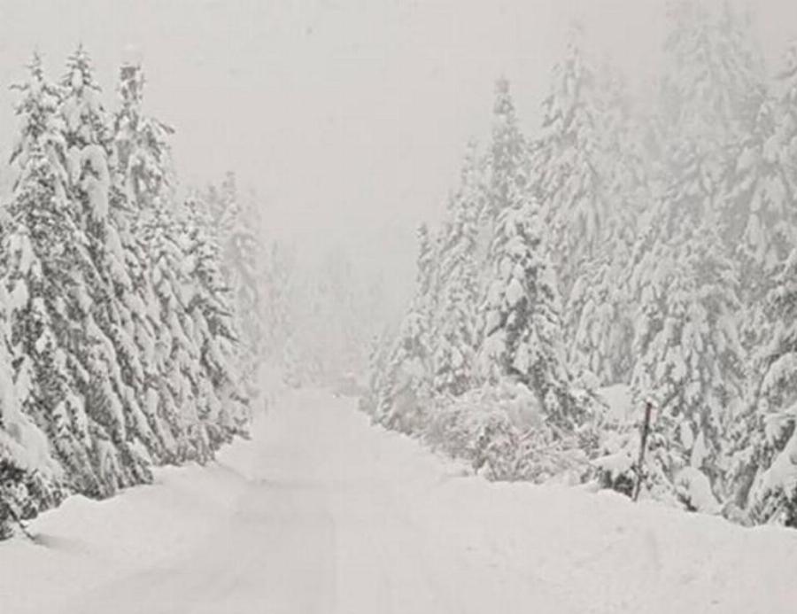 Πολύ χιόνι έπεσε στο Περτούλι και το σκηνικό είναι παραμυθένιο