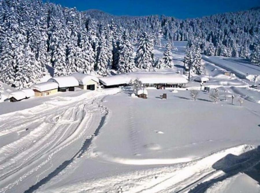 Πολύ χιόνι έπεσε στο Περτούλι και το σκηνικό είναι παραμυθένιο