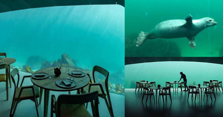 Άνοιξε το πρώτο υποβρύχιο εστιατόριο της Ευρώπης και η ομορφιά του κόβει την ανάσα