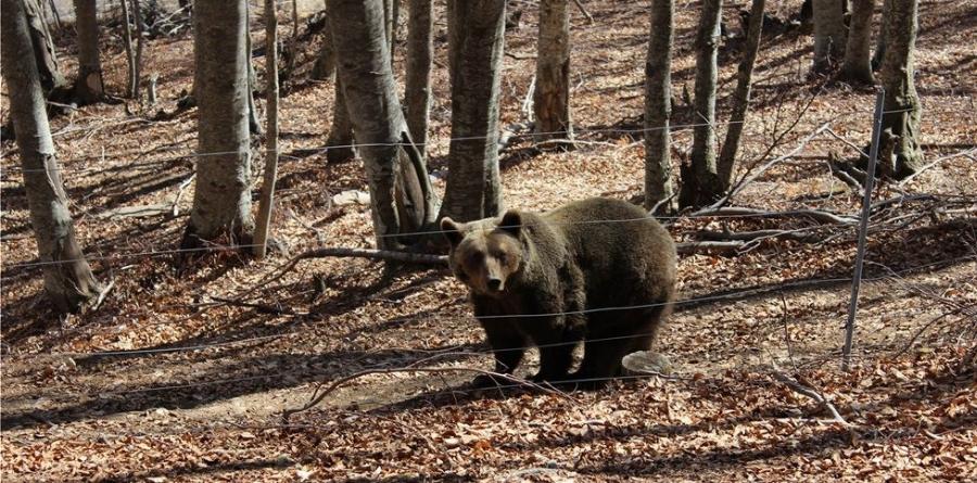 Νυμφαίο Φλώρινας: Ένα… παραμύθι φτιαγμένο από χιόνι!