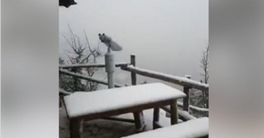 Σήμερα έπεσαν τα πρώτα χιόνια στην Πάρνηθα και το θέαμα είναι μοναδικό.