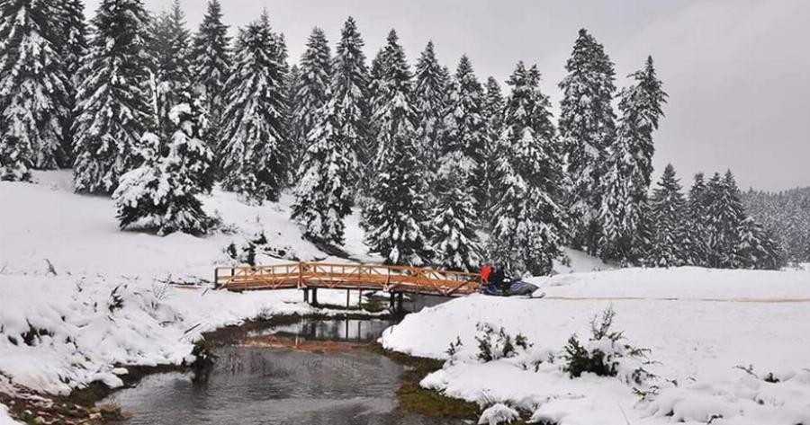 Πολύ χιόνι έπεσε στο Περτούλι και το σκηνικό είναι παραμυθένιο