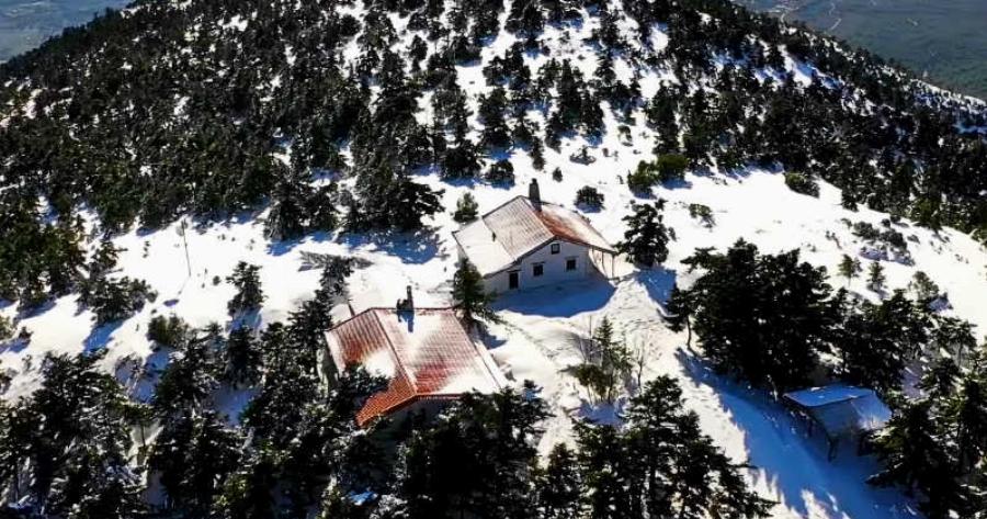 Πάρνηθα: Το χιόνι διαμόρφωσε ένα μαγικό αλπικό τοπίο που όμοιο του δεν ξαναείδαμε.