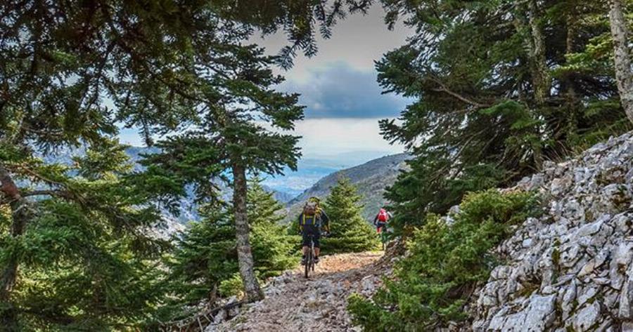 Μια τέλεια μονοήμερη στην Πάρνηθα