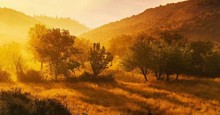 Τα μυστικά της Ορεινής Αρκαδίας: Δάση, σπήλαια, σταματημένα στον χρόνο χωριουδάκια, και όλα όσα πρέπει να ξέρετε για την Αρκαδία πίσω από τη «βιτρίνα».