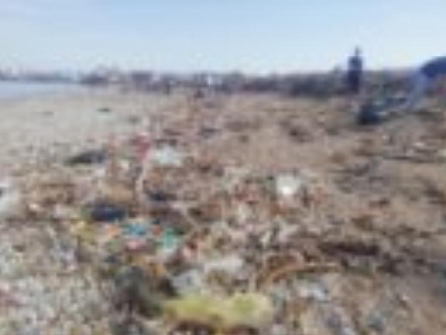 Χανιά | Καθάρισαν την παραλία του Κλαδισού και γέμισαν πάνω από 100 σακούλες σκουπιδιών | Photos