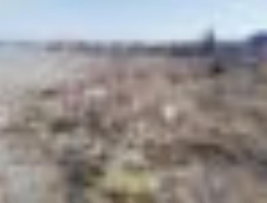 Χανιά | Καθάρισαν την παραλία του Κλαδισού και γέμισαν πάνω από 100 σακούλες σκουπιδιών | Photos