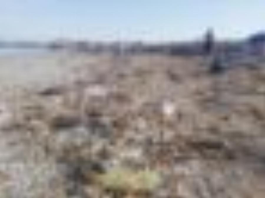 Χανιά | Καθάρισαν την παραλία του Κλαδισού και γέμισαν πάνω από 100 σακούλες σκουπιδιών | Photos