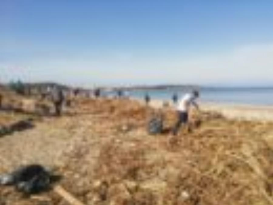 Χανιά | Καθάρισαν την παραλία του Κλαδισού και γέμισαν πάνω από 100 σακούλες σκουπιδιών | Photos