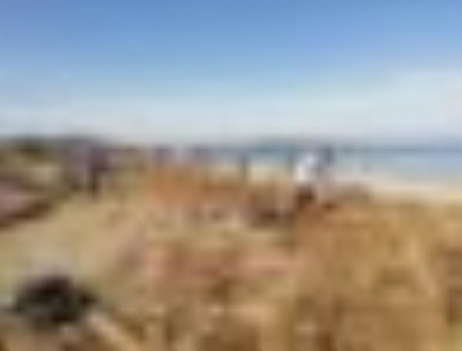 Χανιά | Καθάρισαν την παραλία του Κλαδισού και γέμισαν πάνω από 100 σακούλες σκουπιδιών | Photos