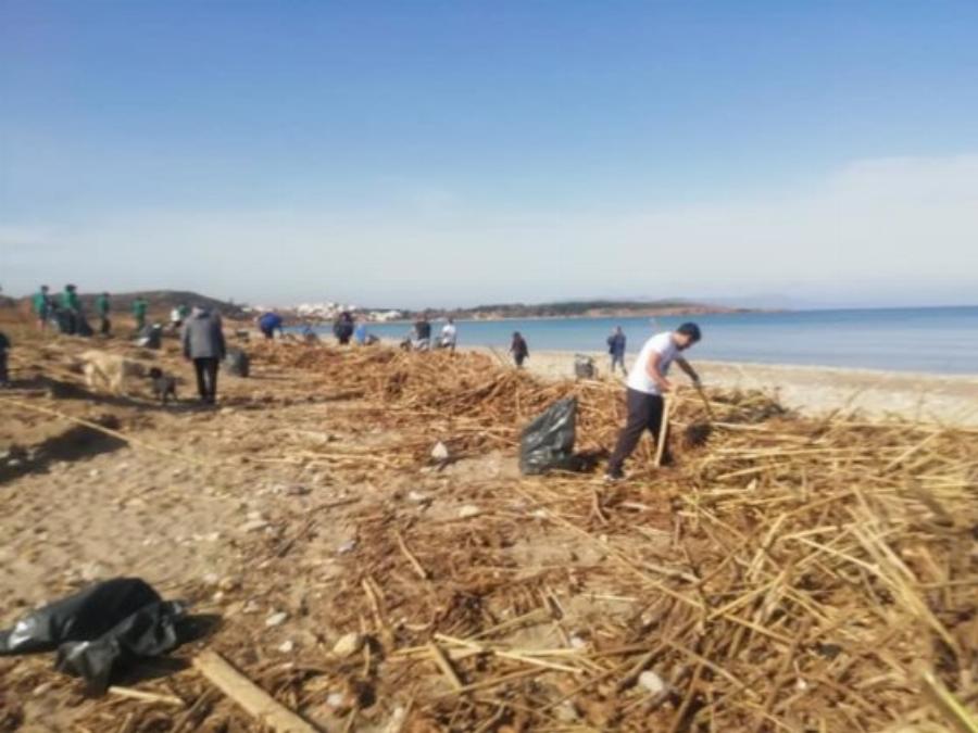 Χανιά | Καθάρισαν την παραλία του Κλαδισού και γέμισαν πάνω από 100 σακούλες σκουπιδιών | Photos