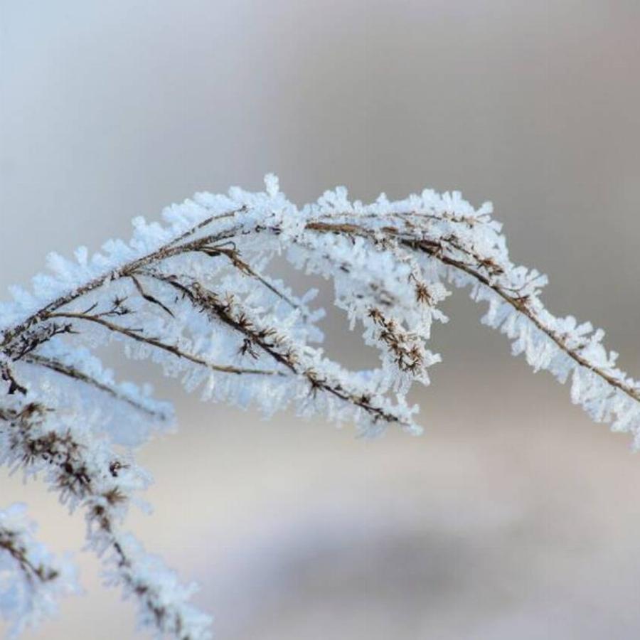 Μερομήνια 2020: Έρχονται χιόνια; Αναλυτικά ο καιρός από τώρα μέχρι το καλοκαίρι