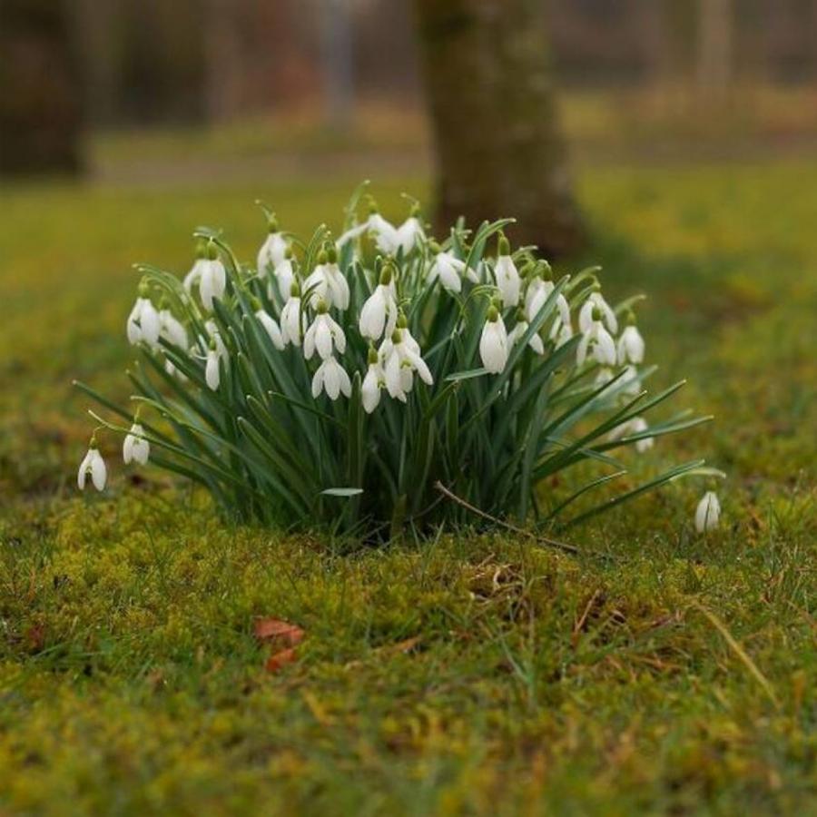 Μερομήνια 2020: Έρχονται χιόνια; Αναλυτικά ο καιρός από τώρα μέχρι το καλοκαίρι