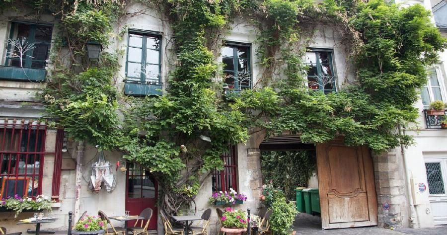 Οι κάτοικοι του Παρισιού θα κάνουν την πόλη τους όαση φυτεύοντας παντού!