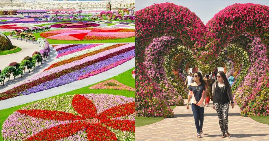 Ο κήπος των θαυμάτων στο Ντουμπάι